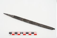 Foto von Eisenraspel (NHMW-PRAE-025089)